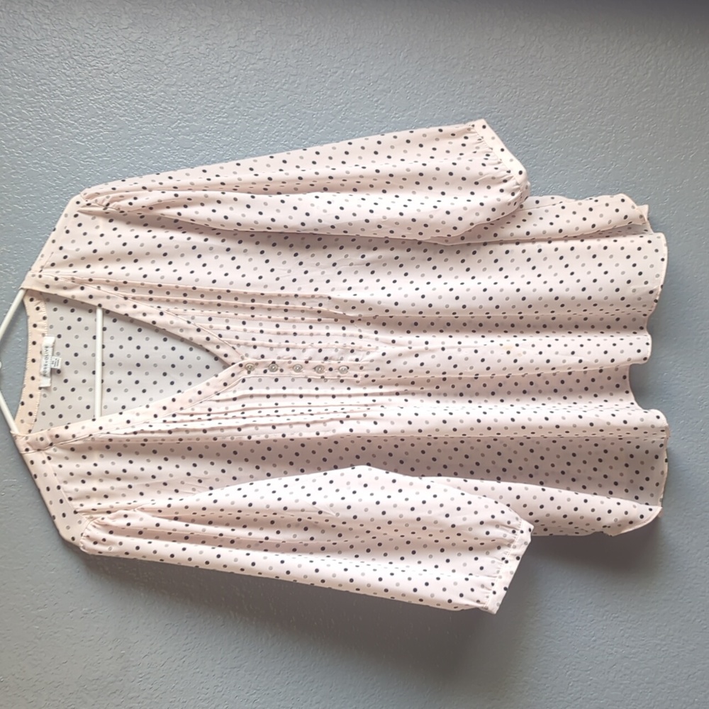 NWOT tags blush polka dot blouse